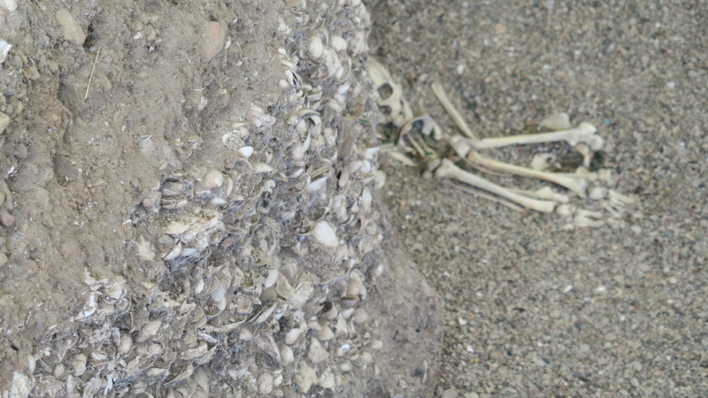 f:id:takemaru2018:20180520194658j:plain