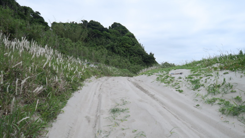 f:id:takemaru2018:20180520194711j:plain