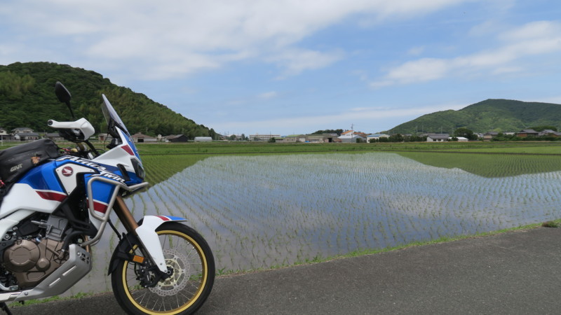 f:id:takemaru2018:20180520194715j:plain