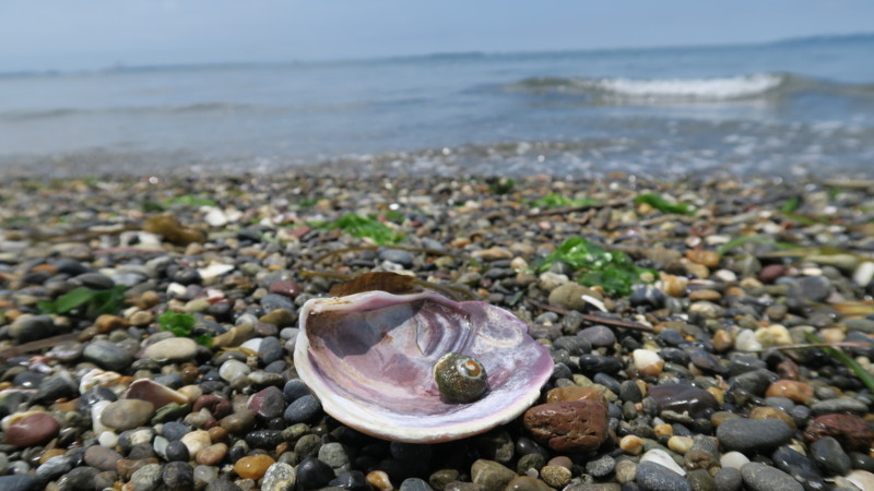 f:id:takemaru2018:20180520194721j:plain