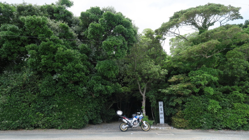 f:id:takemaru2018:20180520194724j:plain