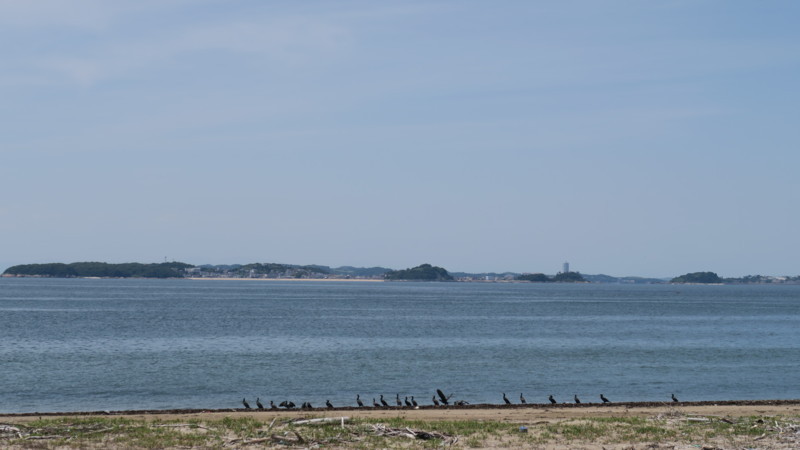 f:id:takemaru2018:20180520194734j:plain