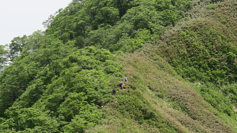 f:id:takemaru2018:20180526193038j:plain