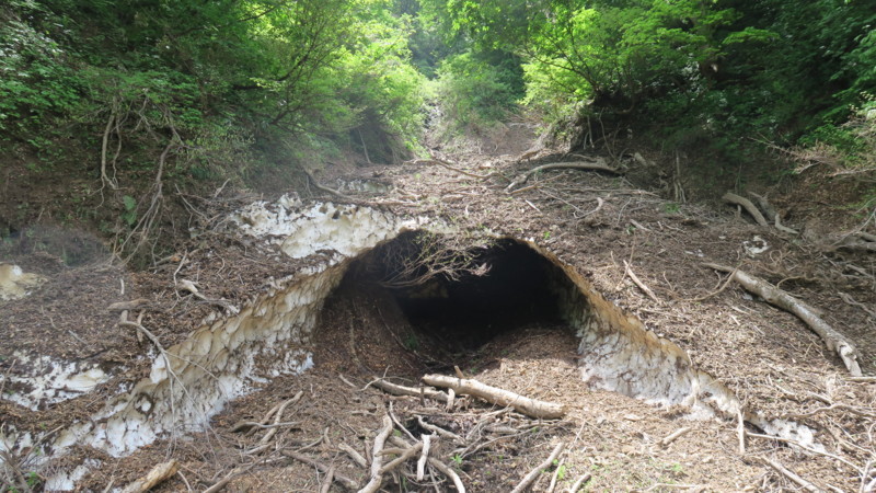 f:id:takemaru2018:20180526193045j:plain