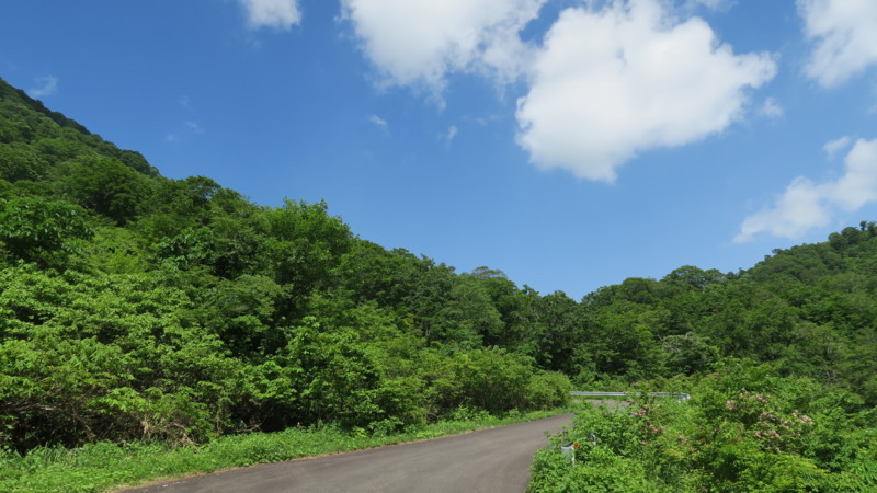 f:id:takemaru2018:20180602194152j:plain