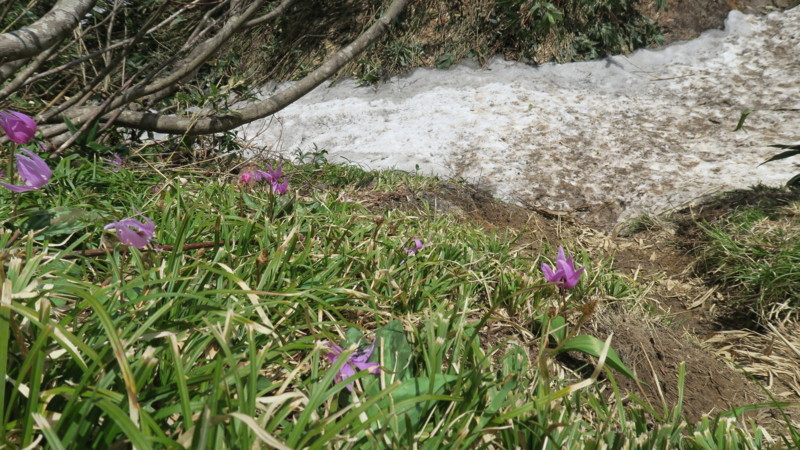 f:id:takemaru2018:20180602194203j:plain