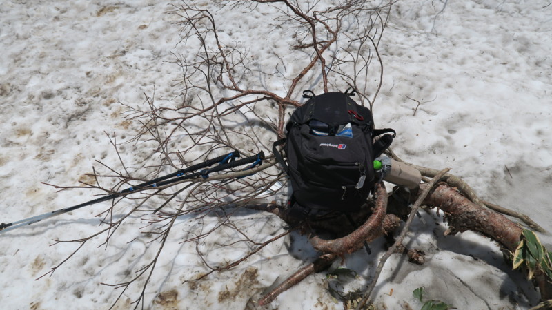 f:id:takemaru2018:20180602194206j:plain