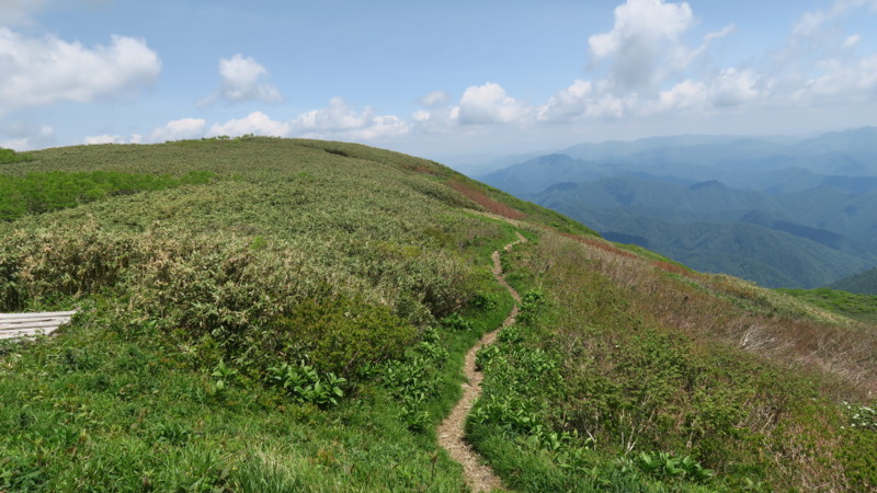 f:id:takemaru2018:20180602194214j:plain