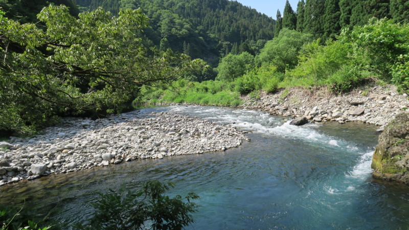 f:id:takemaru2018:20180602194220j:plain