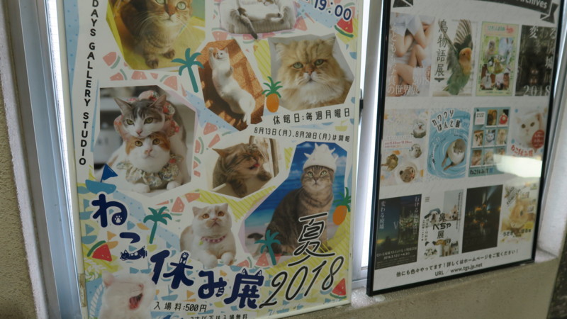 f:id:takemaru2018:20180716141424j:plain f:id:takemaru2018:20180716141424j:plain