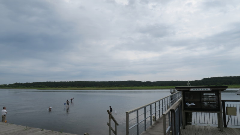 f:id:takemaru2018:20180818143723j:plain