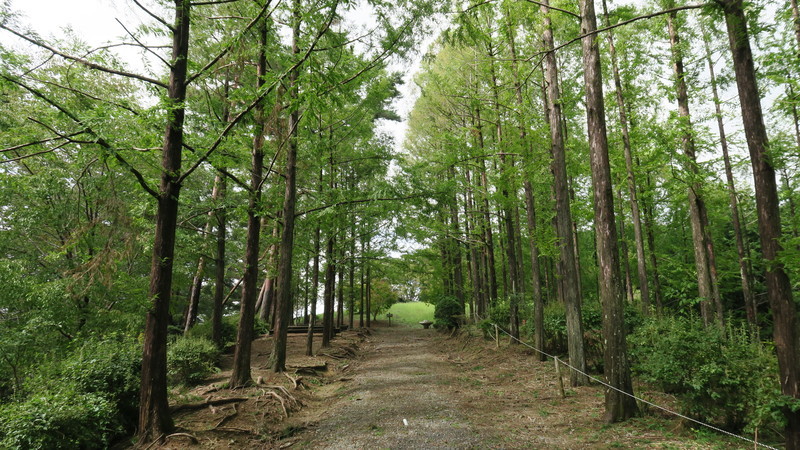 f:id:takemaru2018:20180916185718j:plain