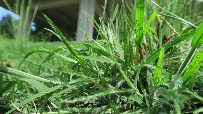 f:id:takemaru2018:20180916185728j:plain