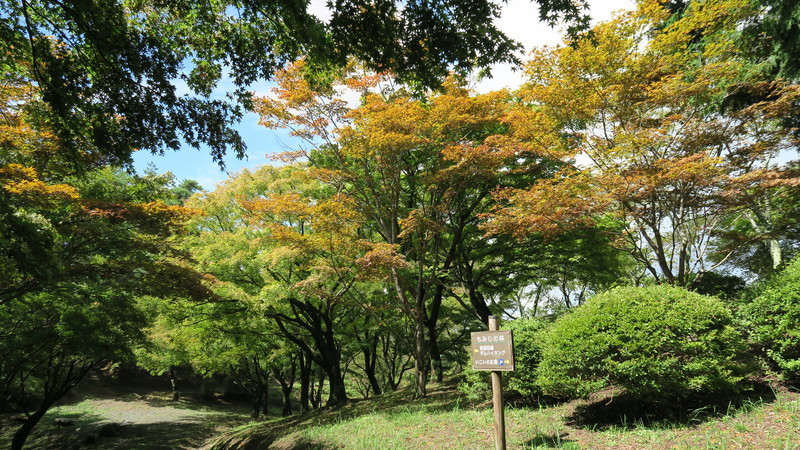 f:id:takemaru2018:20180916185729j:plain