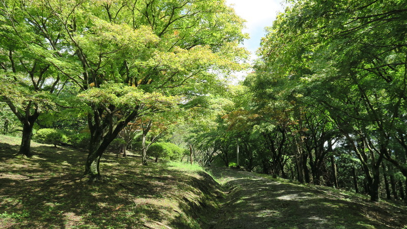 f:id:takemaru2018:20180916185731j:plain