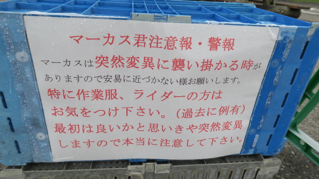 f:id:takemaru2018:20180929104019j:plain