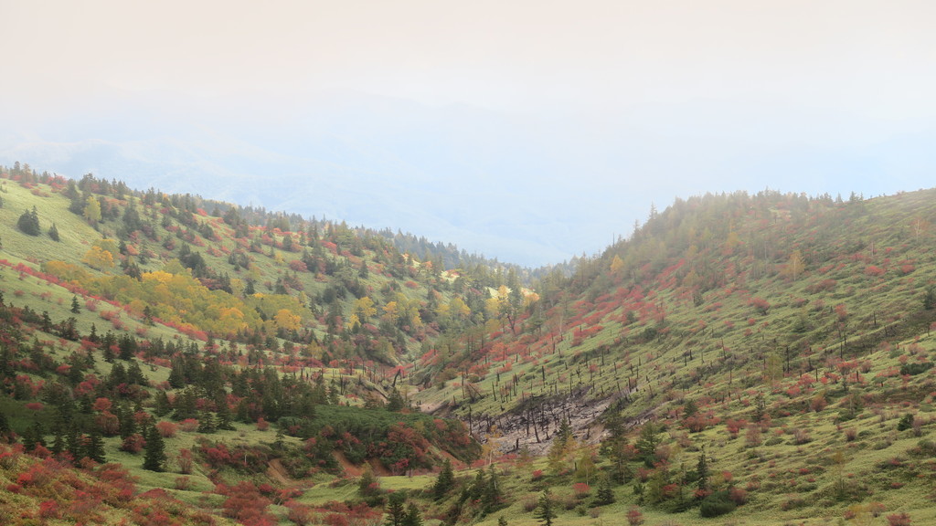 f:id:takemaru2018:20180929104038j:plain