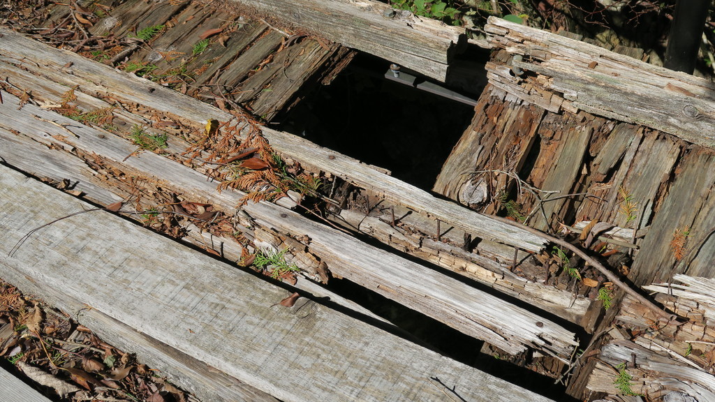 f:id:takemaru2018:20181009200437j:plain