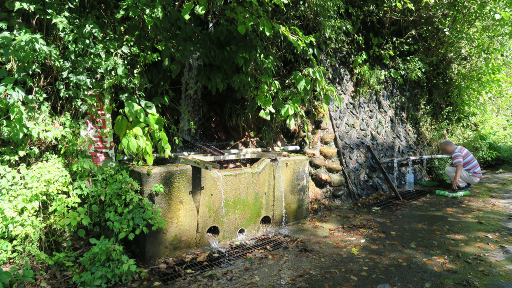 f:id:takemaru2018:20181009200547j:plain