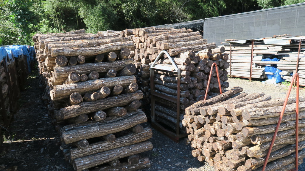 f:id:takemaru2018:20181009200615j:plain