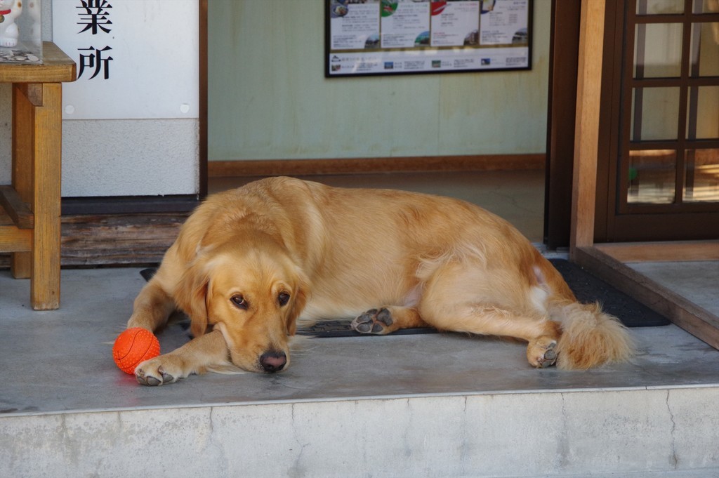 f:id:takemaru2018:20181013195311j:plain