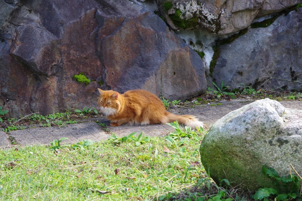 f:id:takemaru2018:20181013195328j:plain