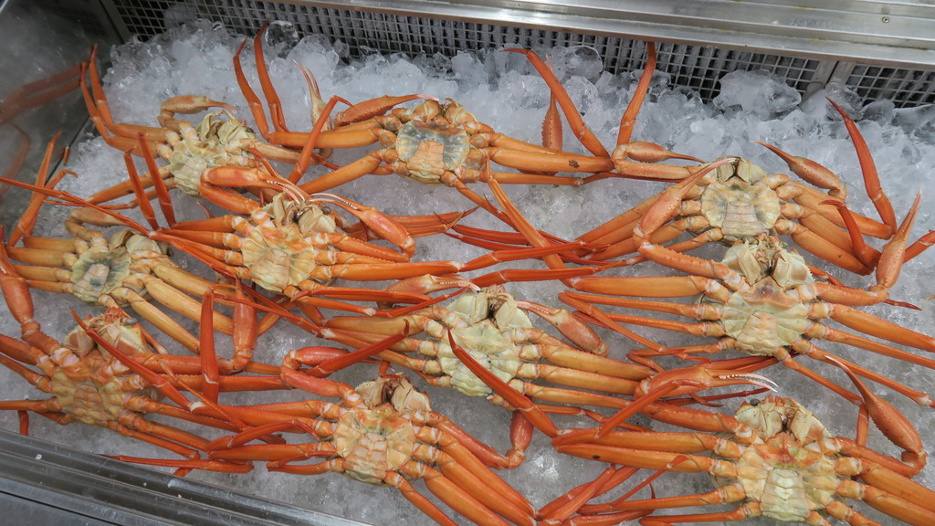 f:id:takemaru2018:20181013195828j:plain