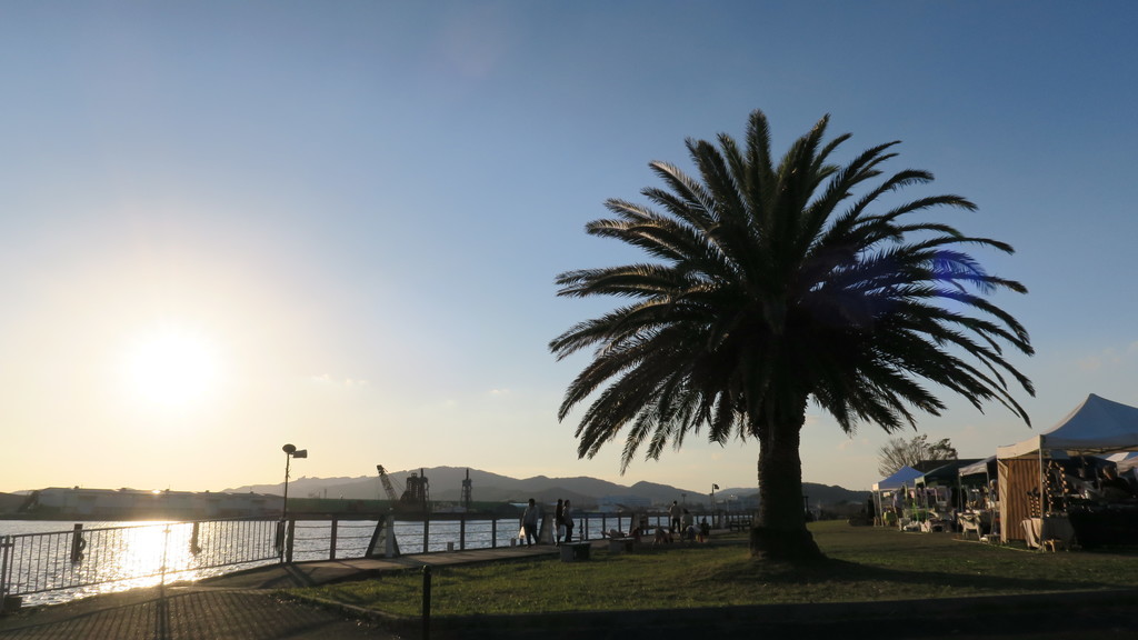 f:id:takemaru2018:20181029201333j:plain