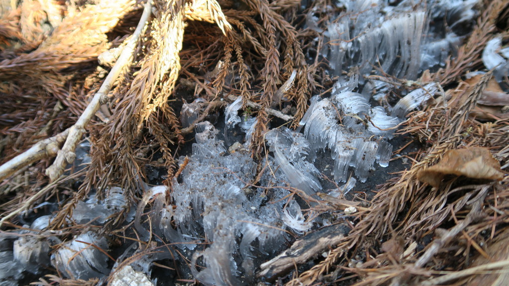 f:id:takemaru2018:20181215183046j:plain