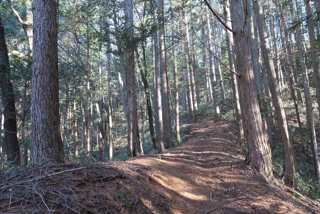 f:id:takemaru2018:20181215183111j:plain