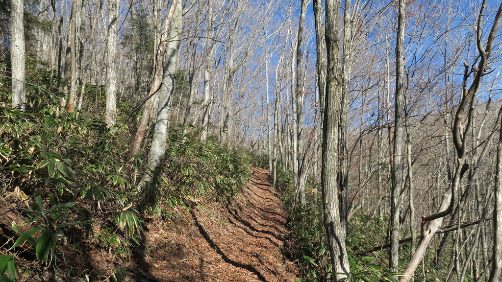 f:id:takemaru2018:20181215183136j:plain