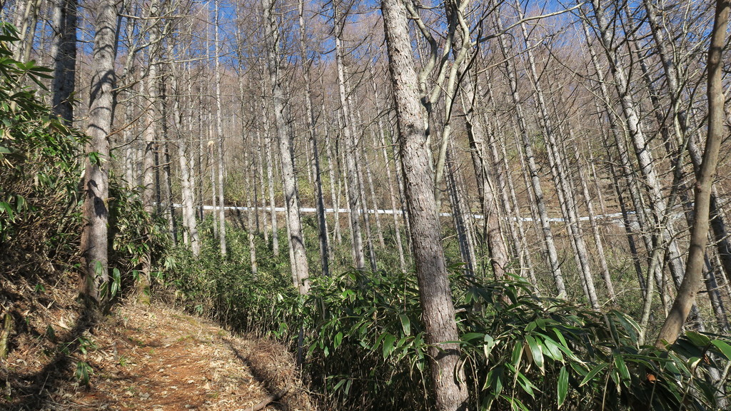 f:id:takemaru2018:20181215183217j:plain