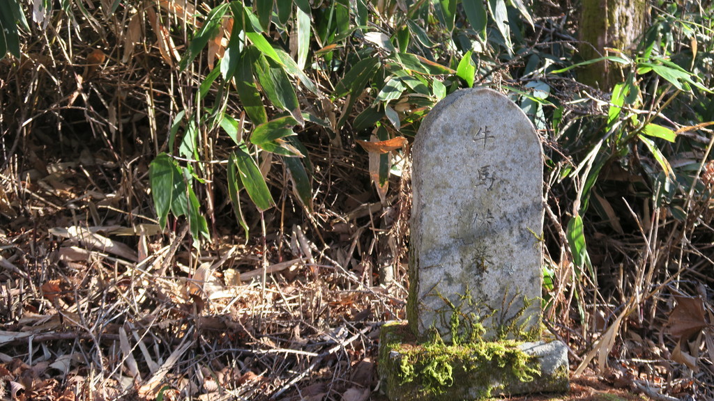 f:id:takemaru2018:20181215183255j:plain