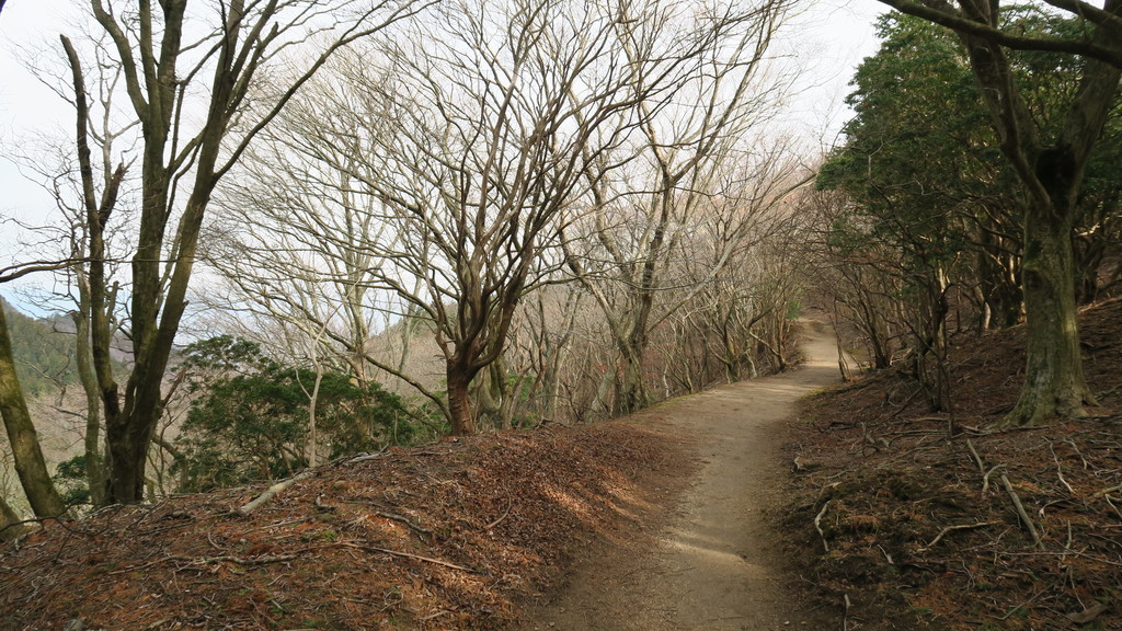 f:id:takemaru2018:20181223193025j:plain f:id:takemaru2018:20181223193025j:plain