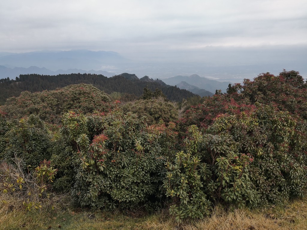 f:id:takemaru2018:20181223193648j:plain