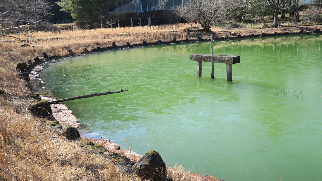 f:id:takemaru2018:20190119203843j:plain