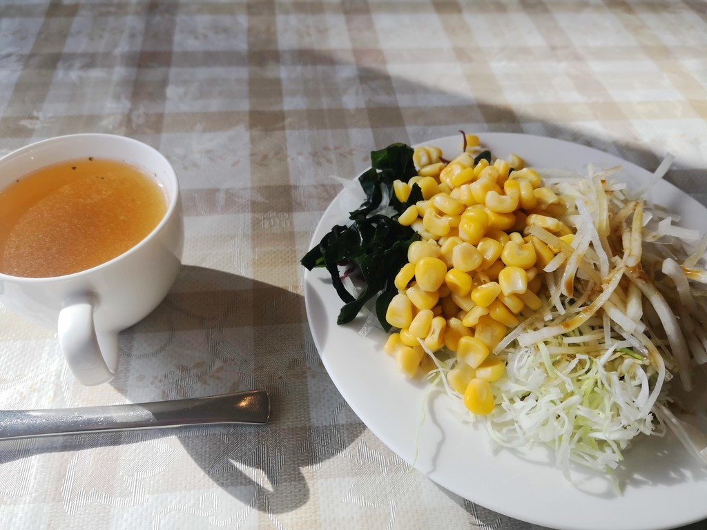 f:id:takemaru2018:20190119204145j:plain