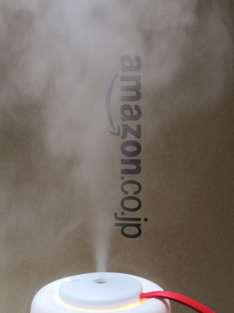 f:id:takemaru2018:20190209002850j:plain