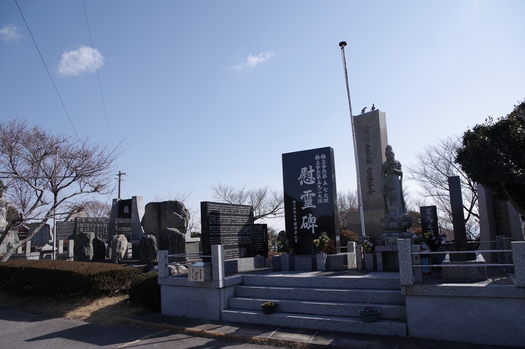 f:id:takemaru2018:20190210173239j:plain