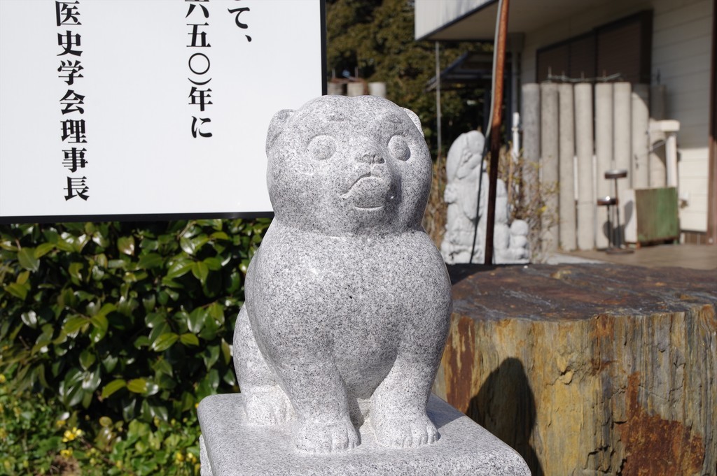 f:id:takemaru2018:20190210173247j:plain