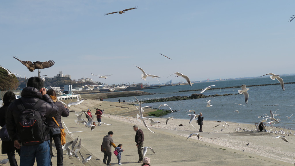 f:id:takemaru2018:20190210173414j:plain