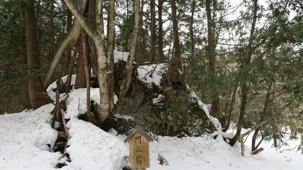 f:id:takemaru2018:20190223210609j:plain f:id:takemaru2018:20190223210609j:plain