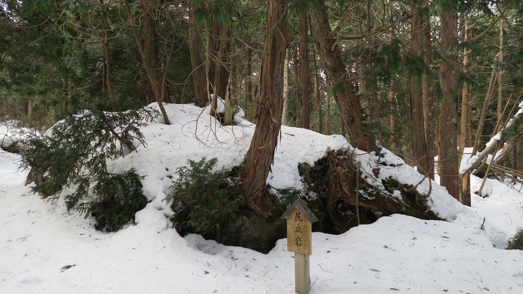 f:id:takemaru2018:20190223210708j:plain f:id:takemaru2018:20190223210708j:plain