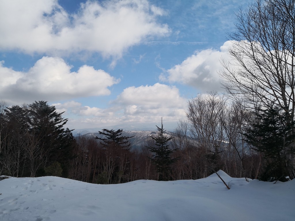 f:id:takemaru2018:20190225201143j:plain