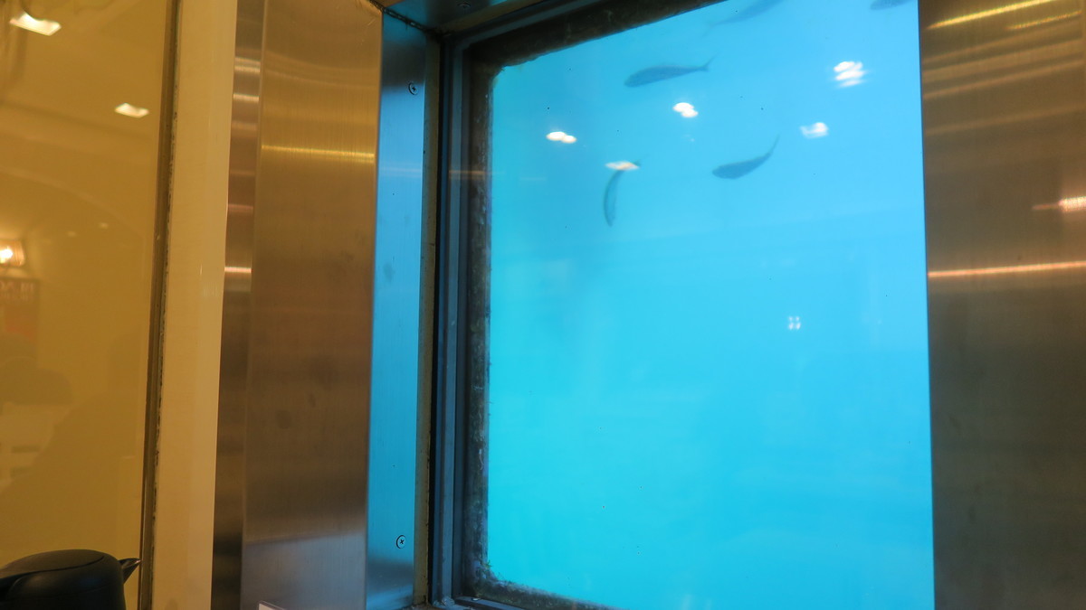 f:id:takemaru2018:20190501144702j:plain f:id:takemaru2018:20190501144702j:plain