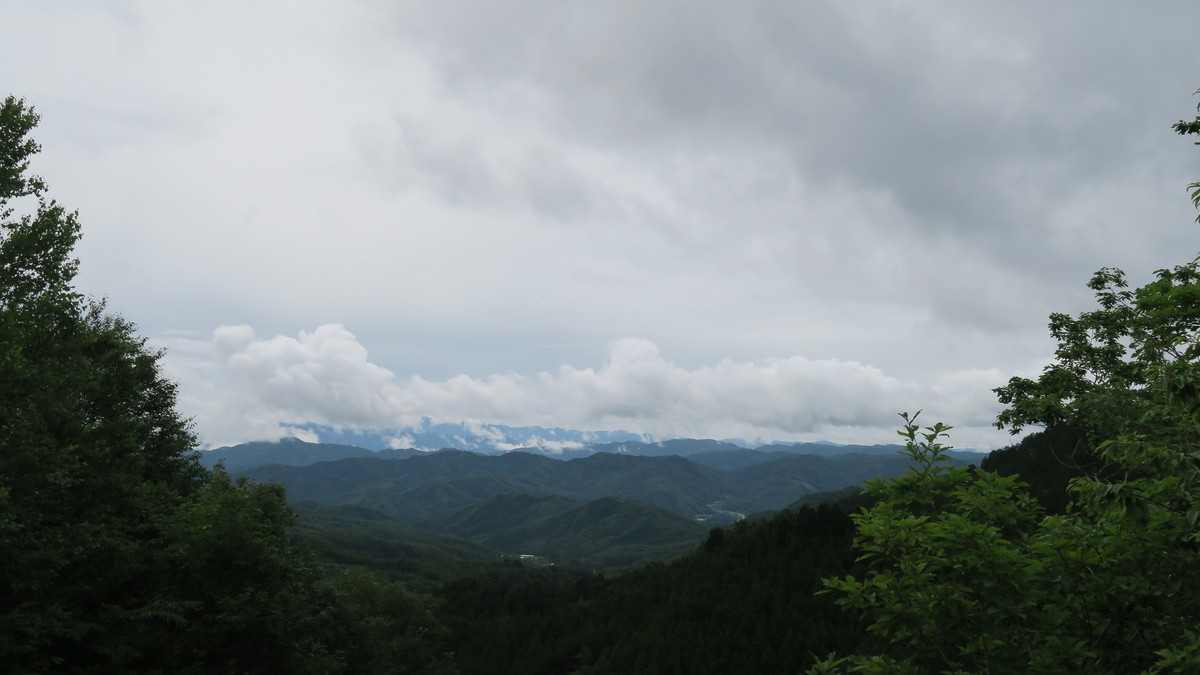 f:id:takemaru2018:20190721172815j:plain