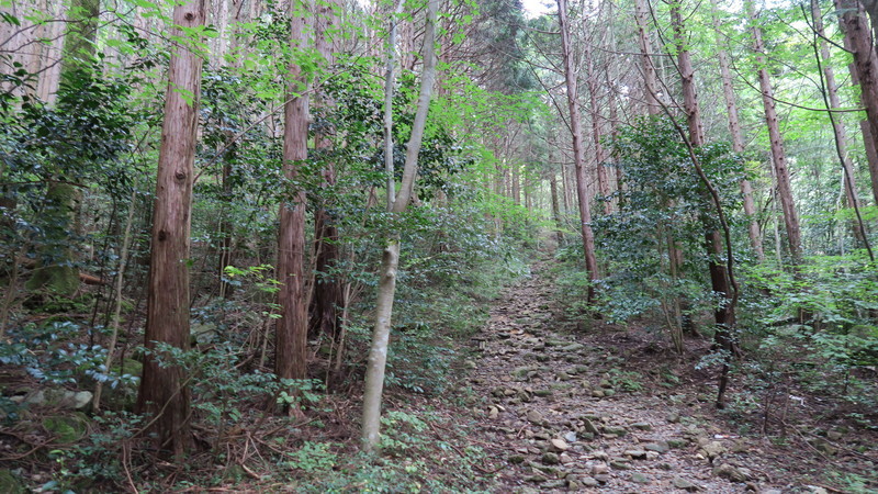 f:id:takemaru2018:20191027185150j:plain