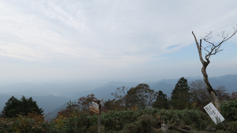 f:id:takemaru2018:20191027185323j:plain