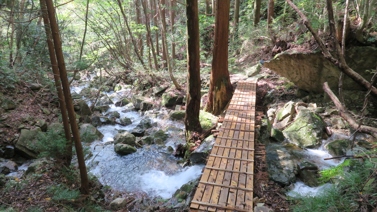 f:id:takemaru2018:20191027212837j:plain