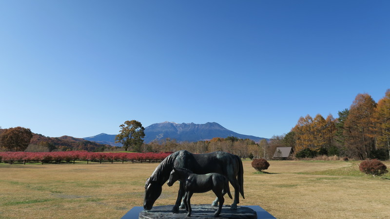 f:id:takemaru2018:20191110173342j:plain